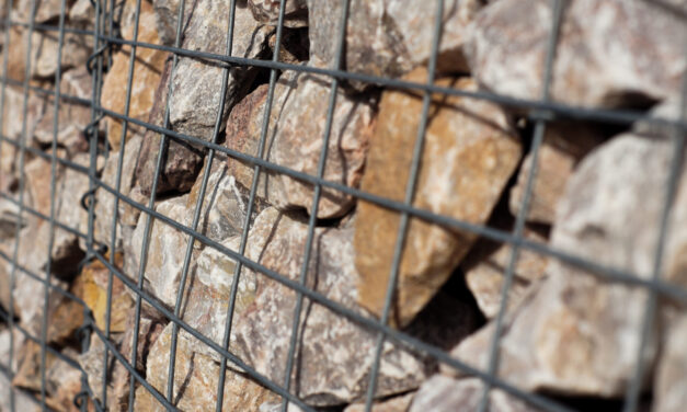 Kora kamienna w aranżacjach ogrodowych – wydajność i zastosowanie