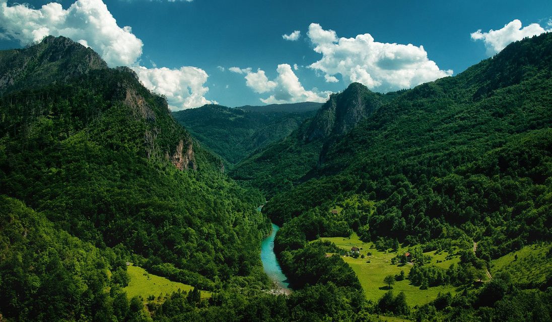 Kanion Tary, czyli co zobaczyć w Czarnogórze